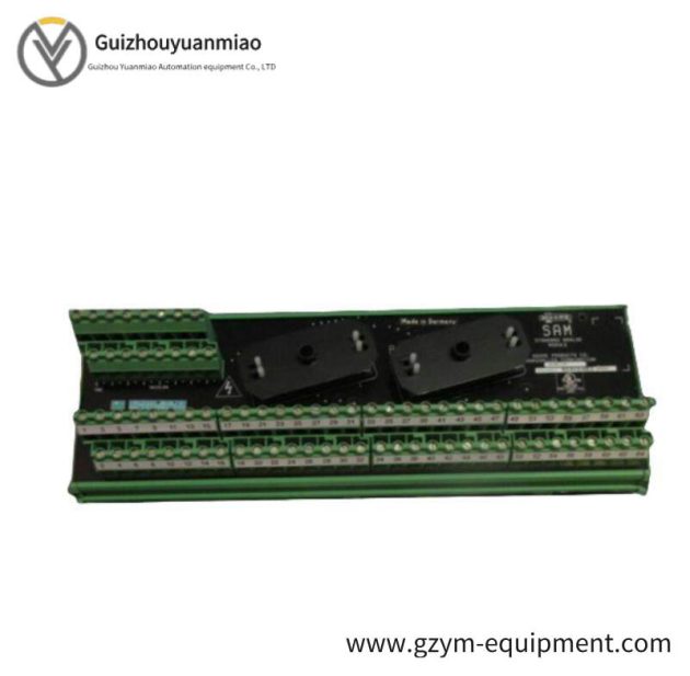 Moore 16169-1-07 SAM Standard Analog Module: Precision Control at Your Fingertips