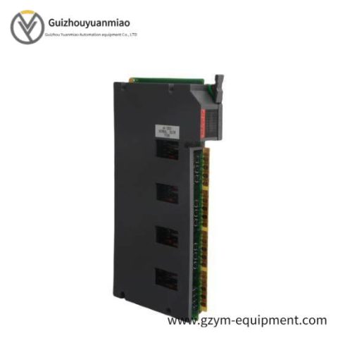 Allen-Bradley 1771-OAN, Digital Analog Output Module, Control Systems