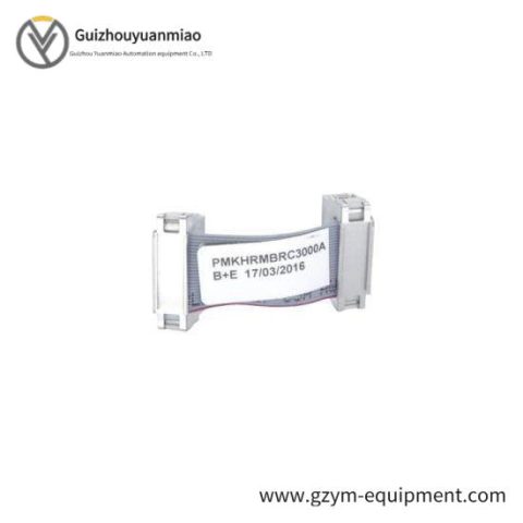 ABB BRC300 Custom Processing Module for Industrial Automation