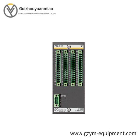 Bachmann PTAI216 - Advanced Temperature Recording Module