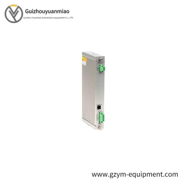 BENTLY NEVADA 146031-01: Transient Data Interface I/O Module