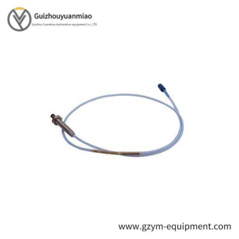 BENTLY NEVADA 300103-00-12-10-02-00: Precision Control Module for Industrial Automation