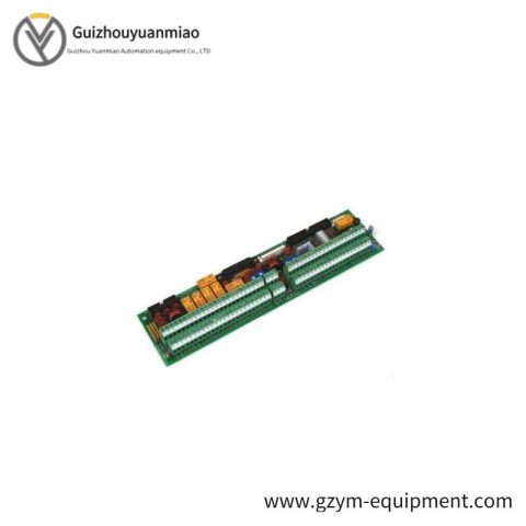 GE DS200FSAAG2ABA - Customizable Hardware Assembly for Industrial Control Systems