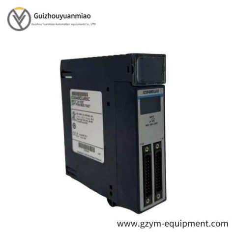GE IC693PWR330G Power Supply Module