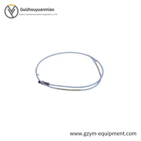 GE IC697MEM717C High-Performance Memory Expansion Module for PLC Systems