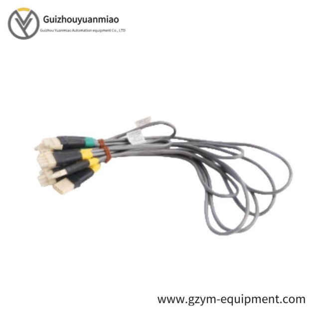 Honeywell CC-PAOX01 51405039-275 I/O Module