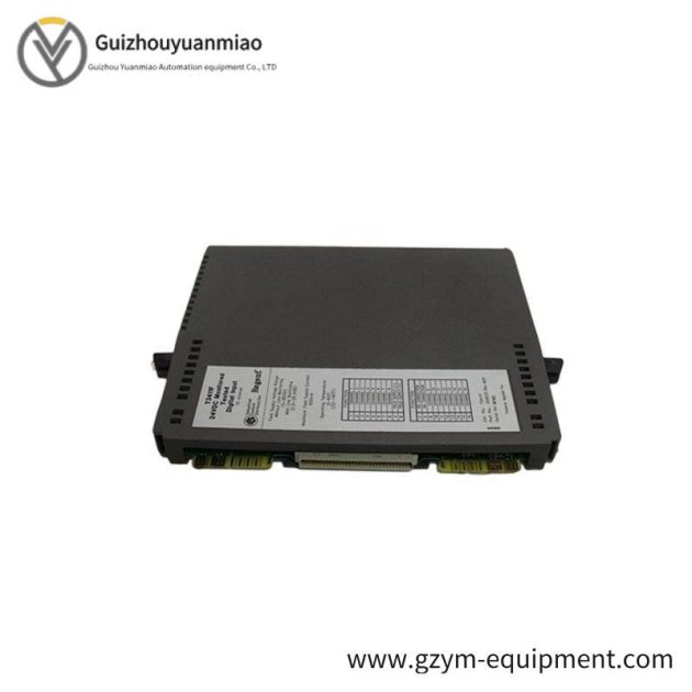ICS Products ICS T8431 Analog Input Module