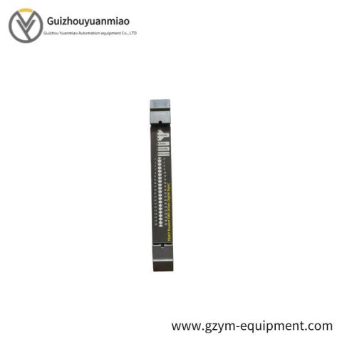 ICS TRIPLEX T8461C Digital Output Module