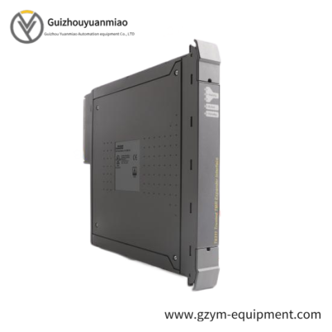 ICS TRIPLEX T9310-02 Off-the-Shelf Module