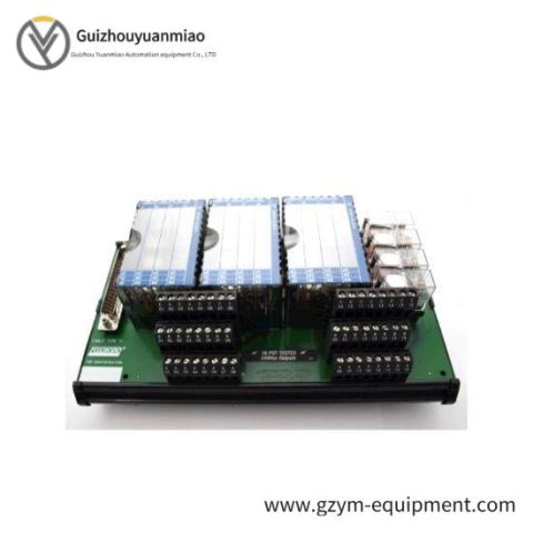 Foxboro P0916NG I/A Series Control Module