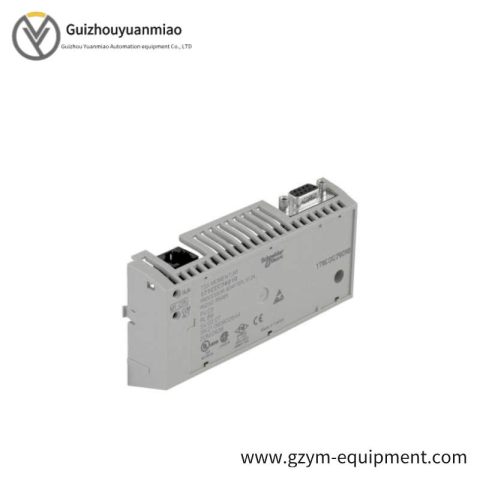 Schneider PLC - 171CCC76010 M1/M1E Processor Adaptor, Automation Innovation for Industry 4.0