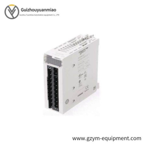 Schneider Electric BMXAMM0600 Analog I/O Module for Industrial Automation, Maximize Efficiency