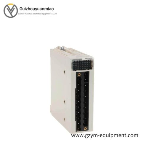 Schneider BMXAMM0600: Comprehensive Analog I/O Module for Advanced Control Solutions