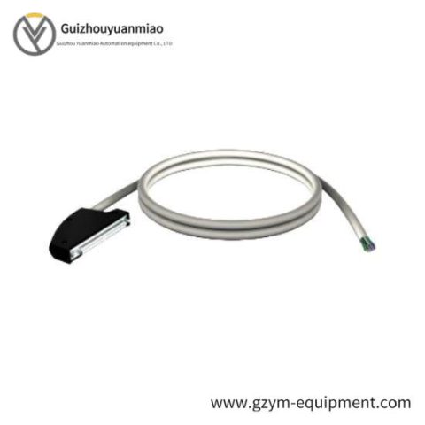 Schneider BMXFCW1001 Discrete Input/Output Cable - 10 Meter