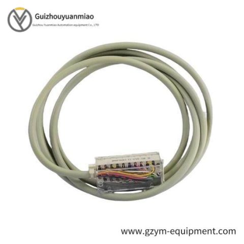 Schneider Electric BMXFTA1522 Telefast Cable for High-Level Analog Output Modules
