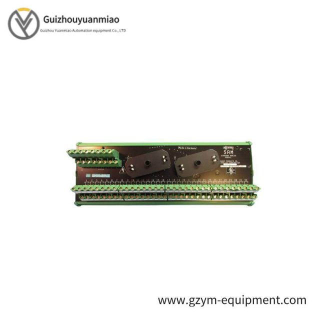 SIEMENS 16169-1-07 Analog Input Module