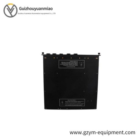 TRICONEX 9760-2 7300150-001 Control Module
