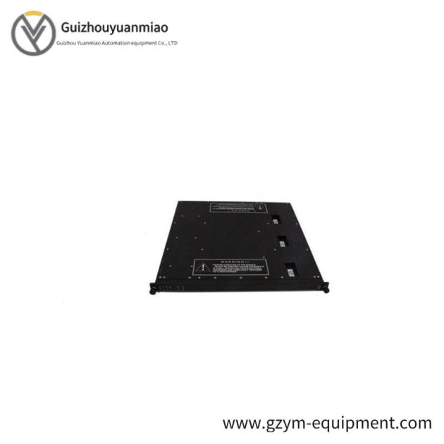 TRICONEX PM6301A High Precision Industrial Module