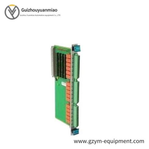 Vibro-Meter VM600 200-570-000-111 Monitoring Module