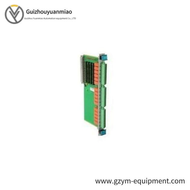 Vibro-Meter VM600 200-570-101-015 Condition Monitoring Module