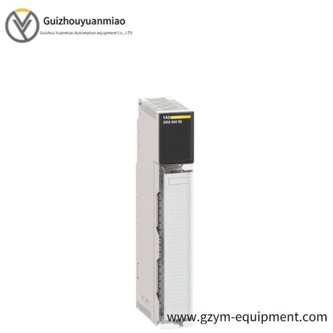 Schneider 140CHS11000: Hot Standby Module for Reliable Automation Systems