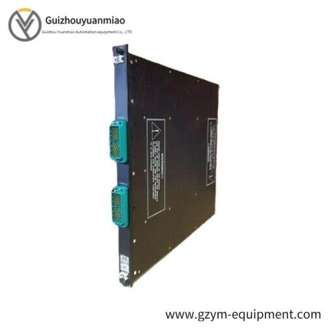 Invensys Triconex 2658 Tricon II Terminator Interface 7400096-200