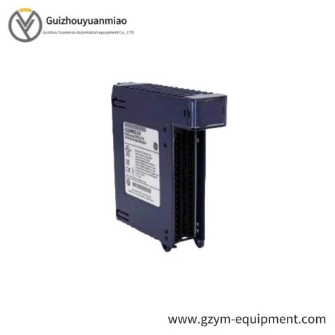 GE PACSystems RX3i PLC Output Module IC694MDL916, Advanced AC/DC Voltage Control