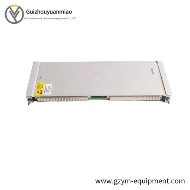 BENTLY NEVADA 172109-01: High-Performance Isolated Tip Temperature Control I/O Module