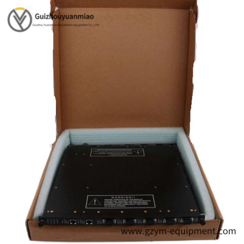 Invensys Triconex 9761-210 Panel Field Termination