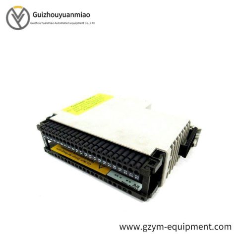 Schneider Electric AS-BDAU-204 Analog Output Module - Industrial Control Precision