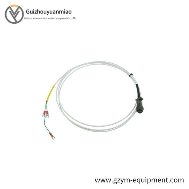 BENTLY 3500/61-01-00 (163179-02 & 133819-02) - High-Accuracy Industrial Temperature Monitoring System