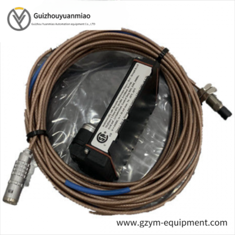 Emerson 4256A15G03 Control Module for Industrial Automation