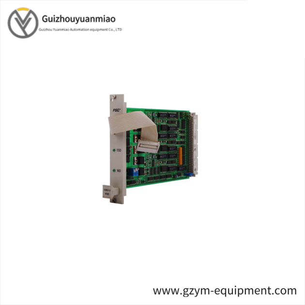 Honeywell 10005/1/1 Industrial Watchdog Module