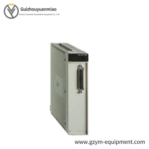 Schneider Electric TSXAEY420 4-Channel High-Speed Analog Input Module